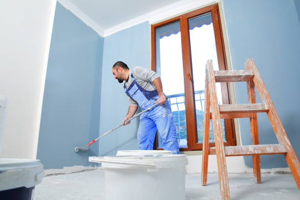  Cannon Falls, MN Mold Removal Pros