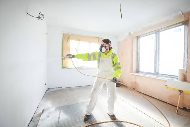 Best Post-Construction Mold Inspection  in Cannon Falls, MN