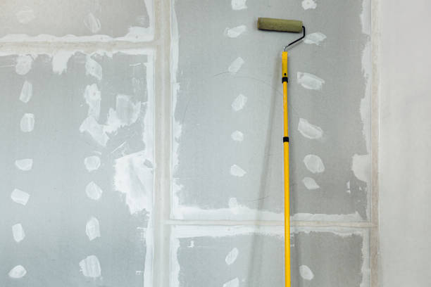 Best Airborne Mold Testing  in Cannon Falls, MN