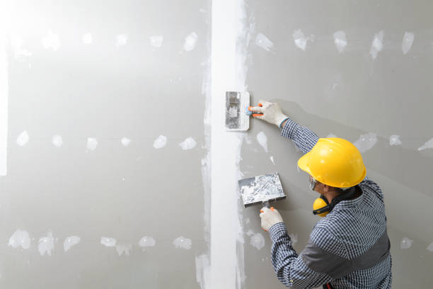 Best Commercial Mold Inspection  in Cannon Falls, MN