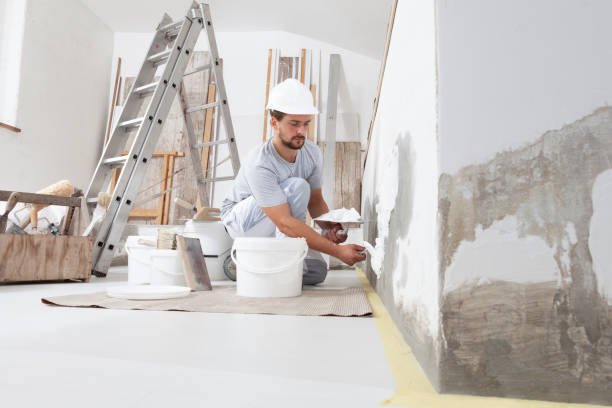 Best Comprehensive Air Testing for Mold Contaminants  in Cannon Falls, MN