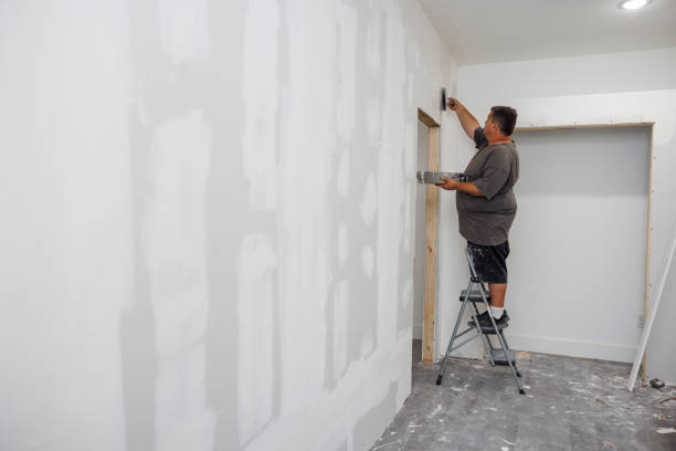 Best HVAC Mold Inspection and Cleaning  in Cannon Falls, MN