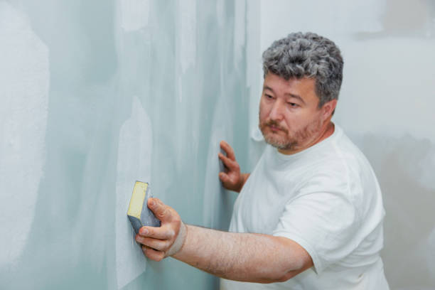 Best Indoor Air Quality Assessment  in Cannon Falls, MN