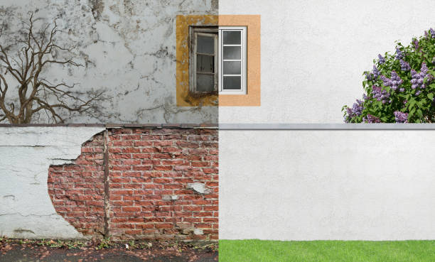 Best Environmental Consulting for Mold Prevention  in Cannon Falls, MN