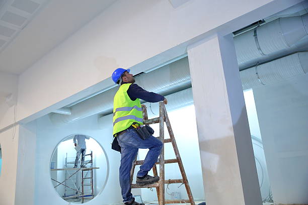 Reliable Cannon Falls, MN Mold Removal Solutions