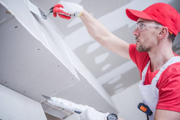 Best Water Damage & Mold Remediation  in Cannon Falls, MN