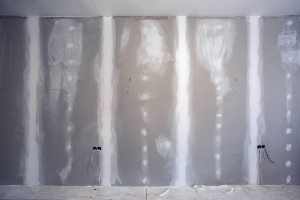 Best Dehumidification Services  in Cannon Falls, MN